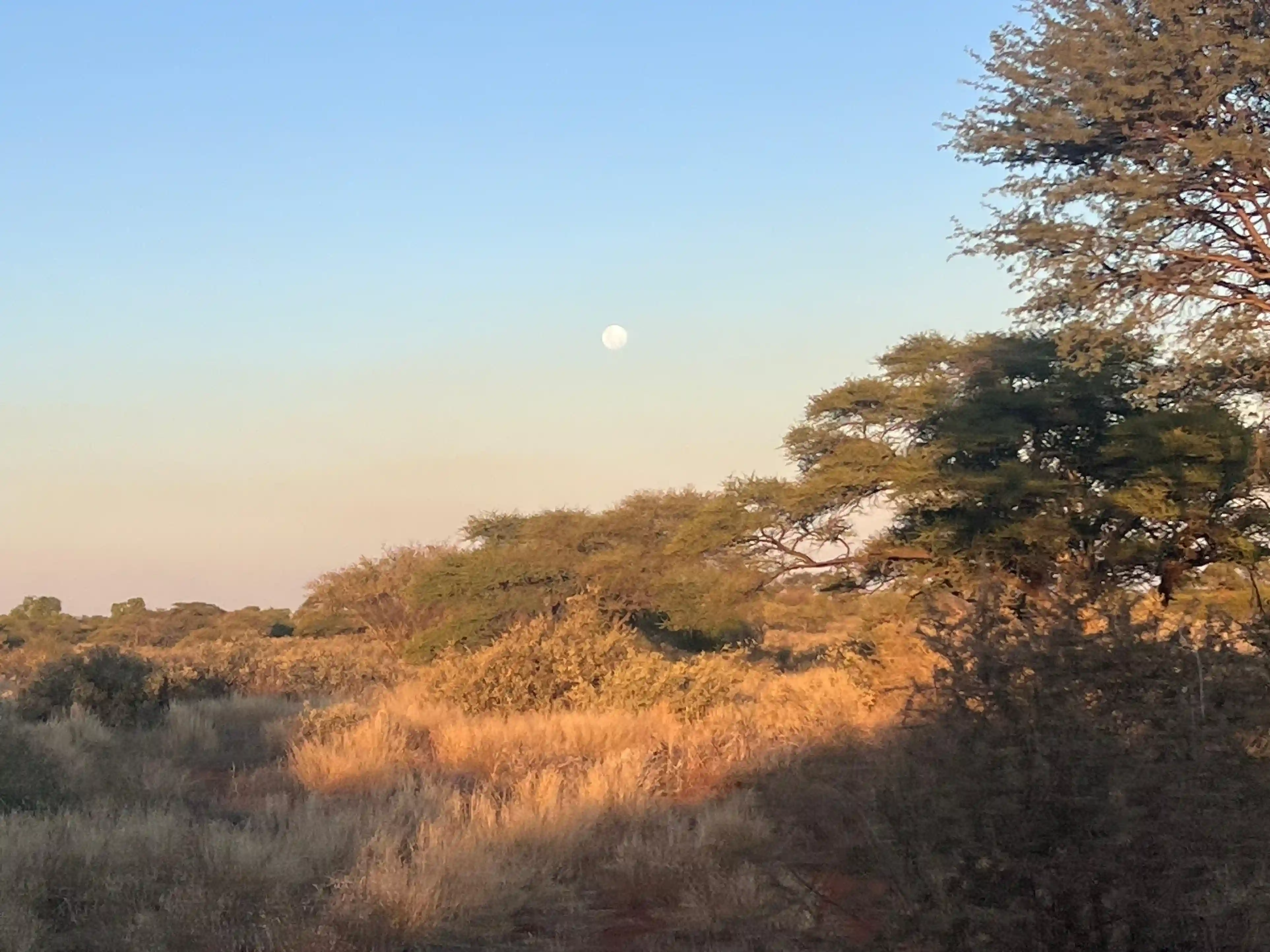 ntorno natural del lodge al atardecer, con edificios de estilo africano rodeados de naturaleza y total tranquilidad.